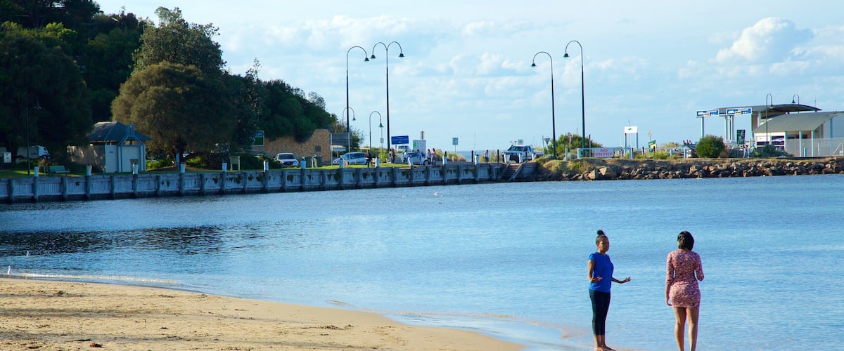 Sorrento Front Beach which includes a beach as well as a small group of people