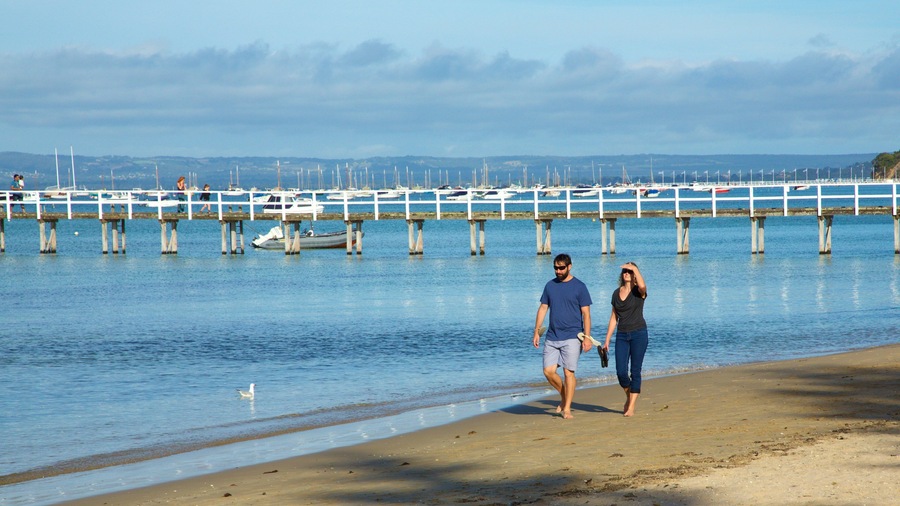 A beach with a pier extending into the water, boats docked at the pier, and a seagull on the shore.