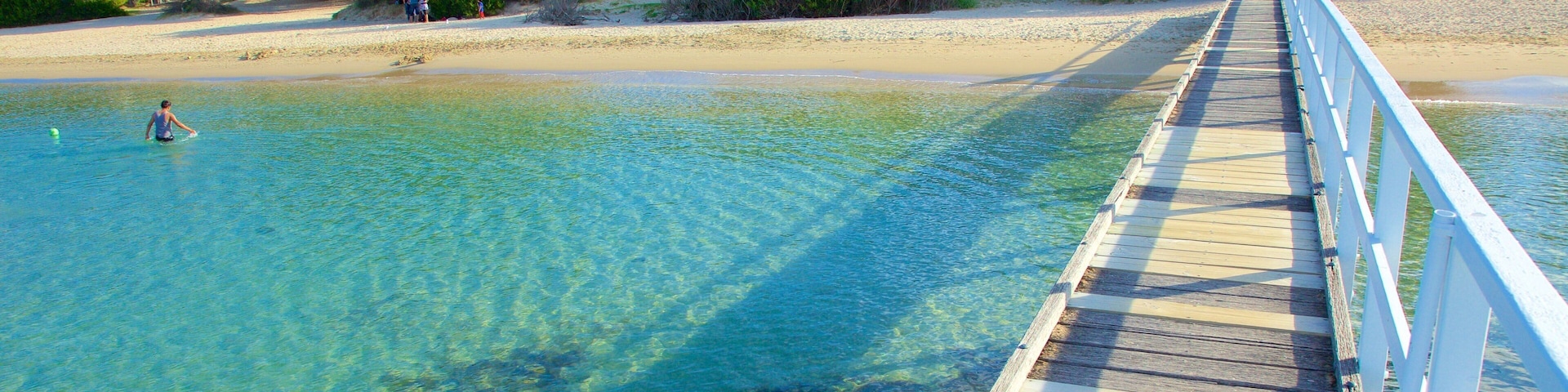 Sorrento Front Beach featuring a sandy beach