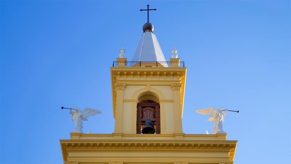 Catedral Metropolitana de Campinas