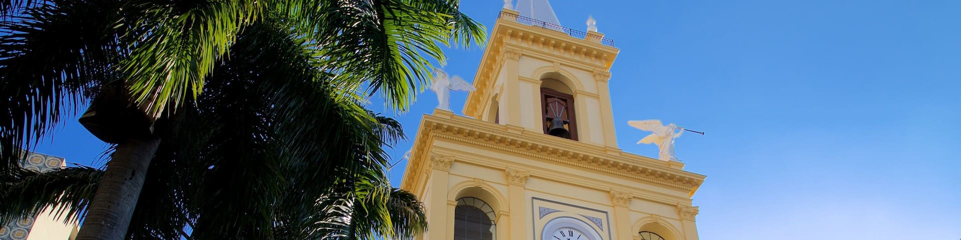 Cathédrale métropolitaine de Campinas mettant en vedette patrimoine architectural et église ou cathédrale