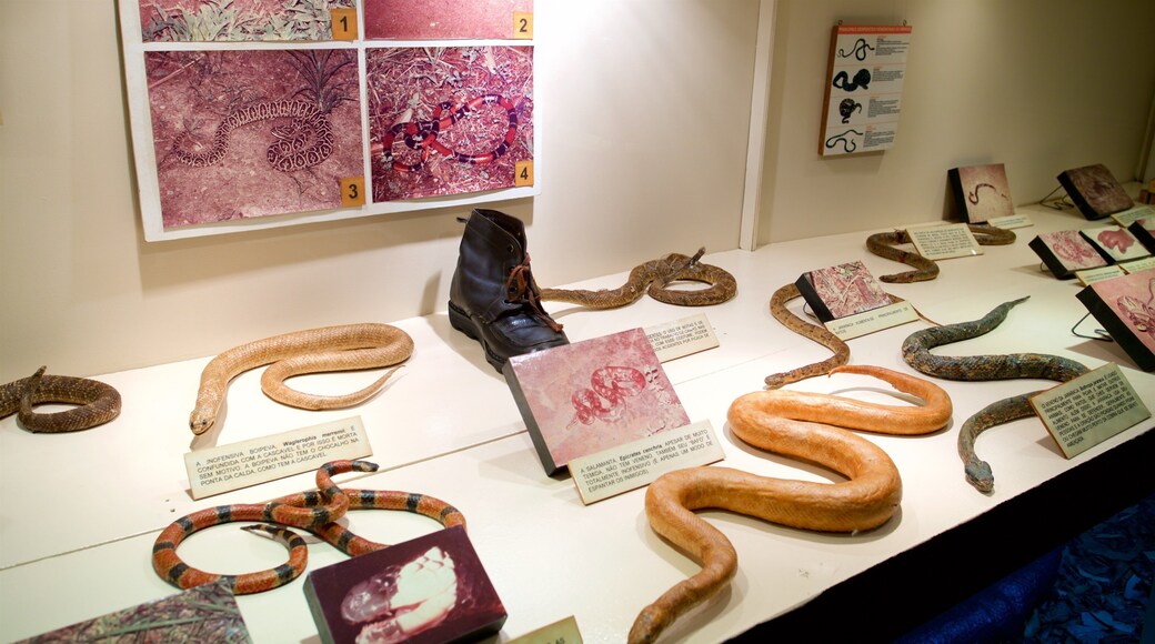 Luonnonhistorian museo joka esittää sisäkuvat