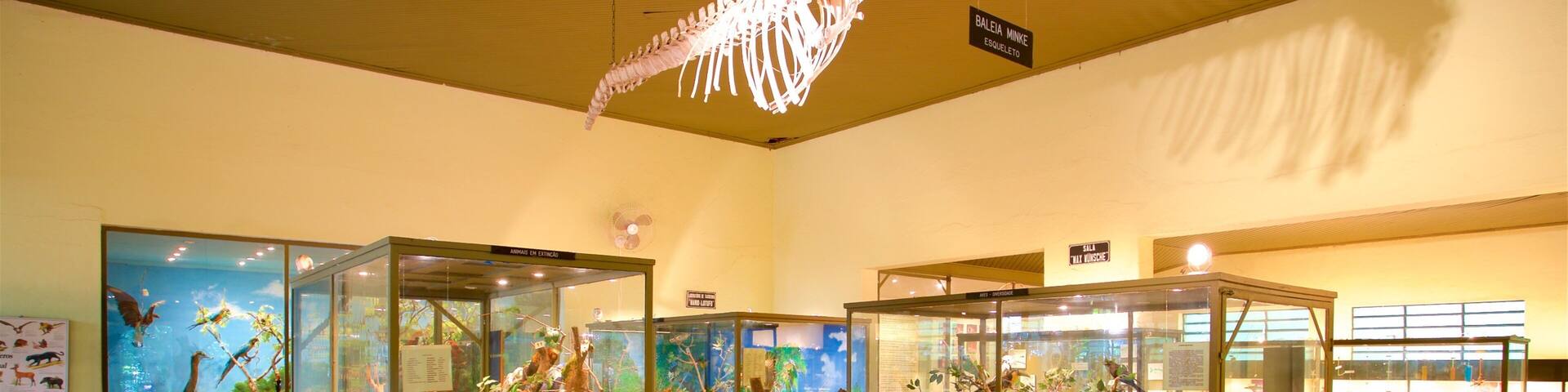 Museum of Natural History which includes interior views