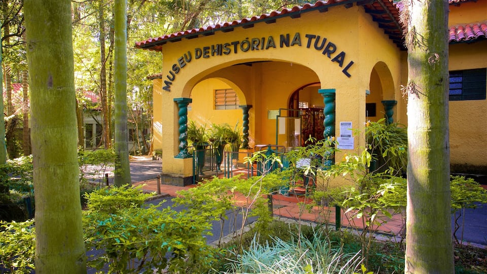 A yellow building with arches labeled "Museu de Historia Natural" surrounded by greenery.
