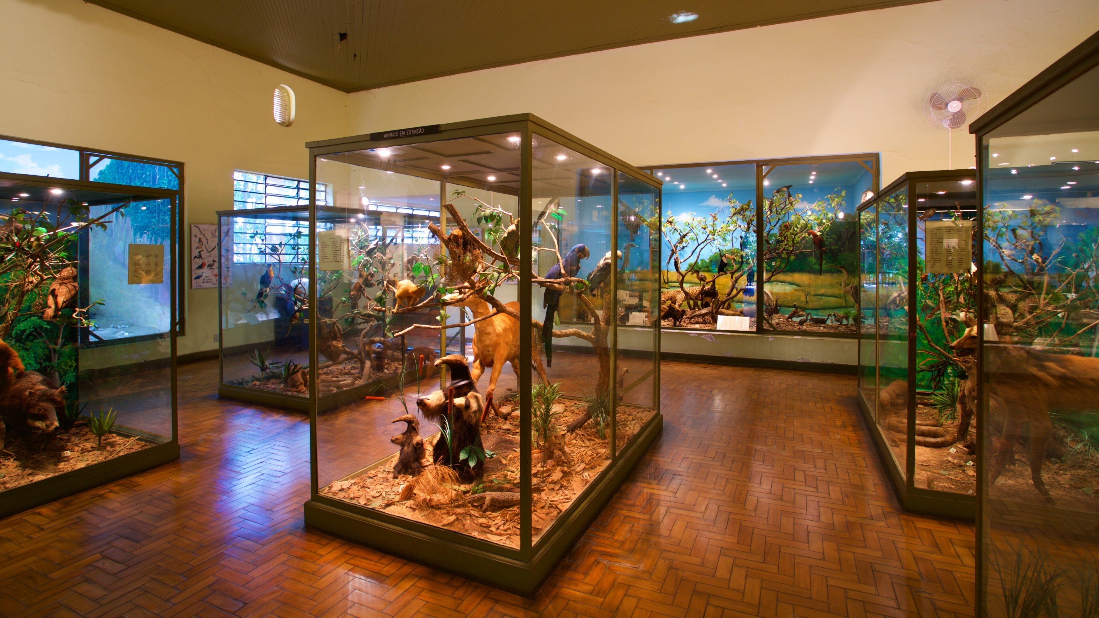 Museo di storia naturale mostrando vista interna