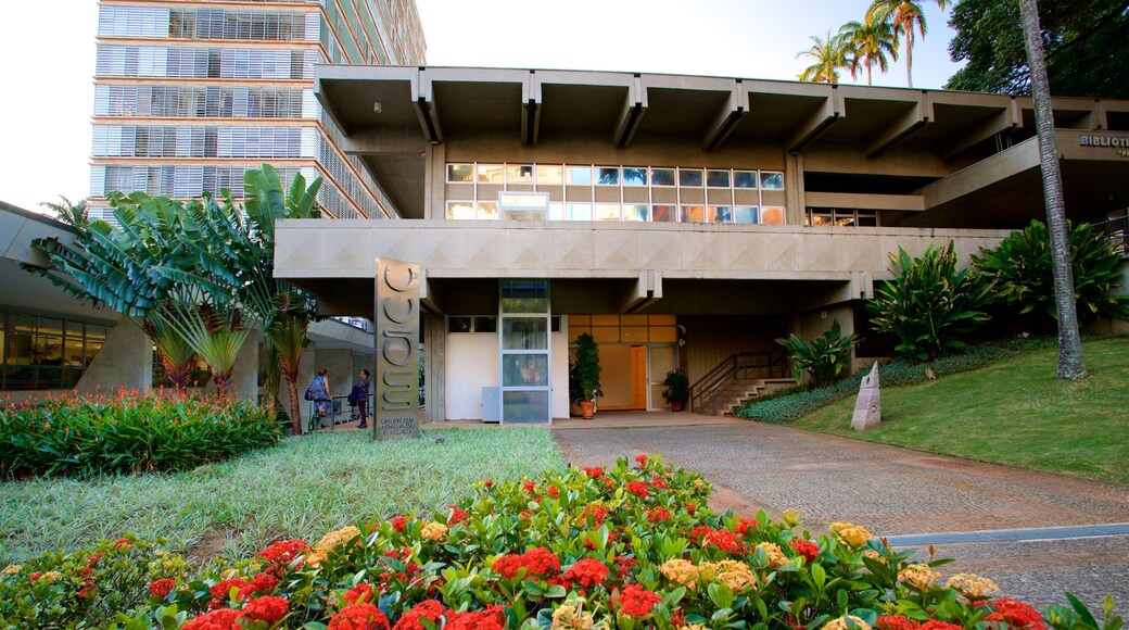 Museo de Arte ContemporĂĄneo presenterar blommor