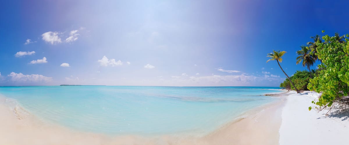 A beach with clear turquoise water, white sand, and palm trees.
