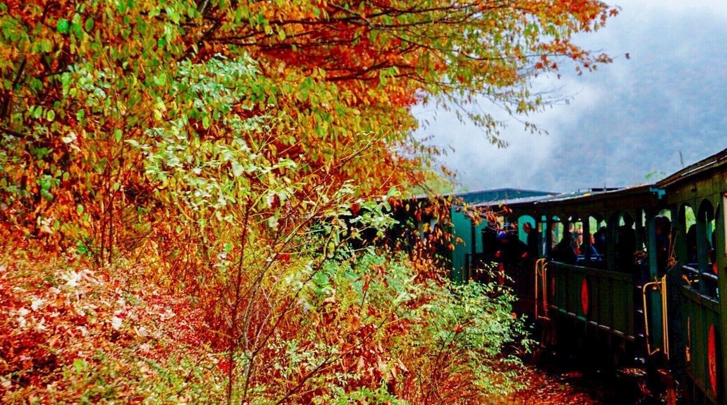 West Virginia’s charm will definitely make you fall for all the autumn colors