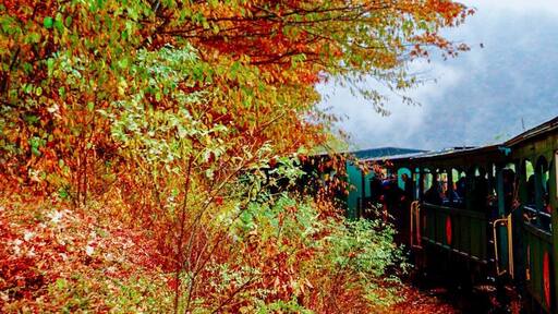 West Virginia’s charm will definitely make you fall for all the autumn colors