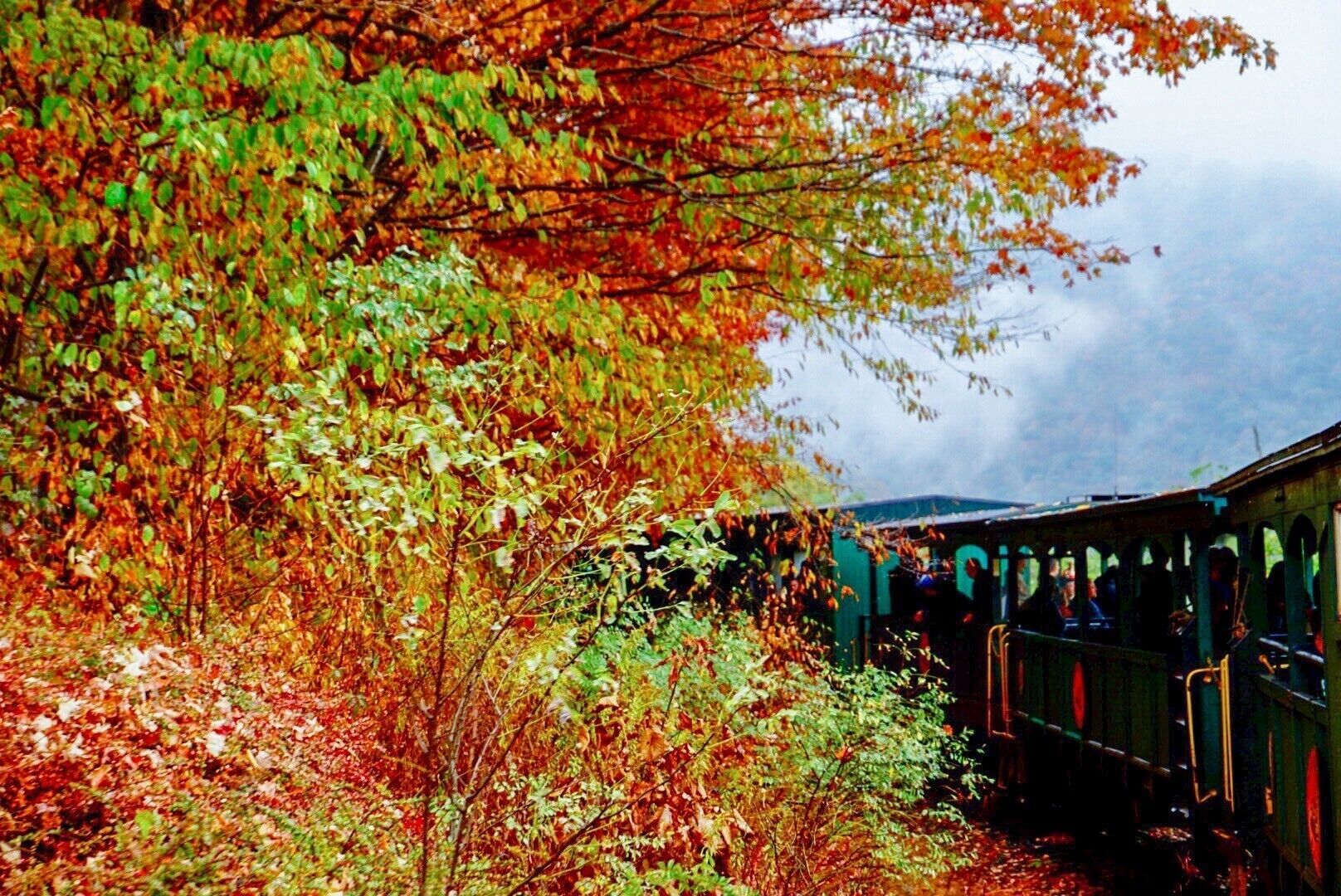 A train station surrounded by autumn foliage.