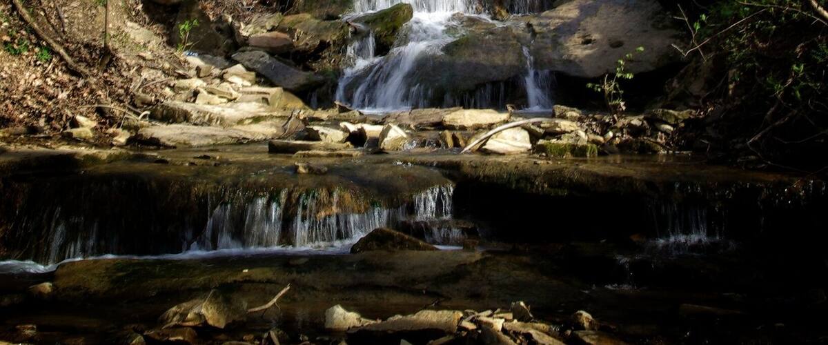 A forested area with a cascading waterfall and rocky terrain.