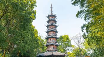 Songjiang-distriktet