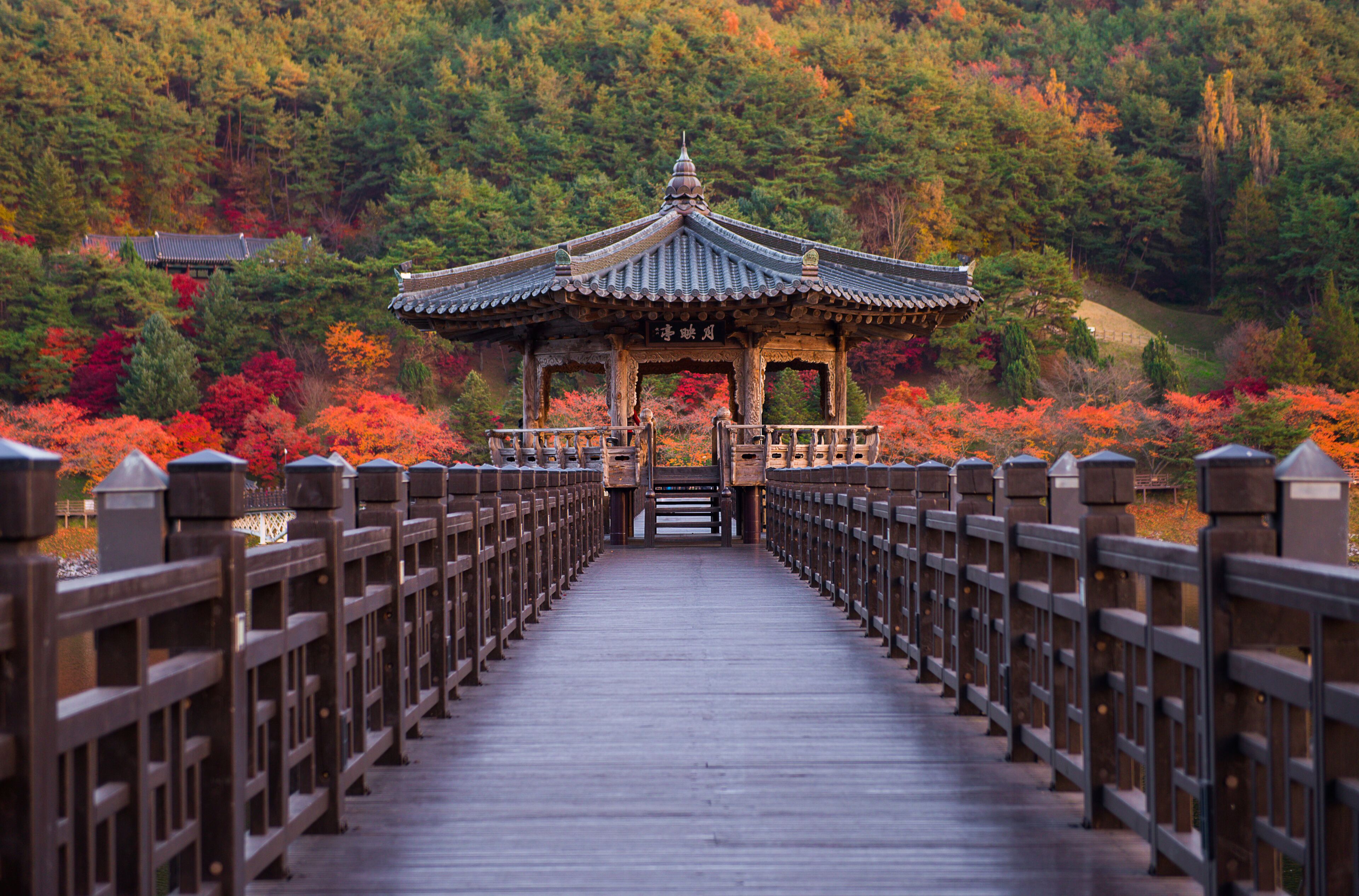 A traditional pavilion on a wooden bridge with autumn foliage in the background.