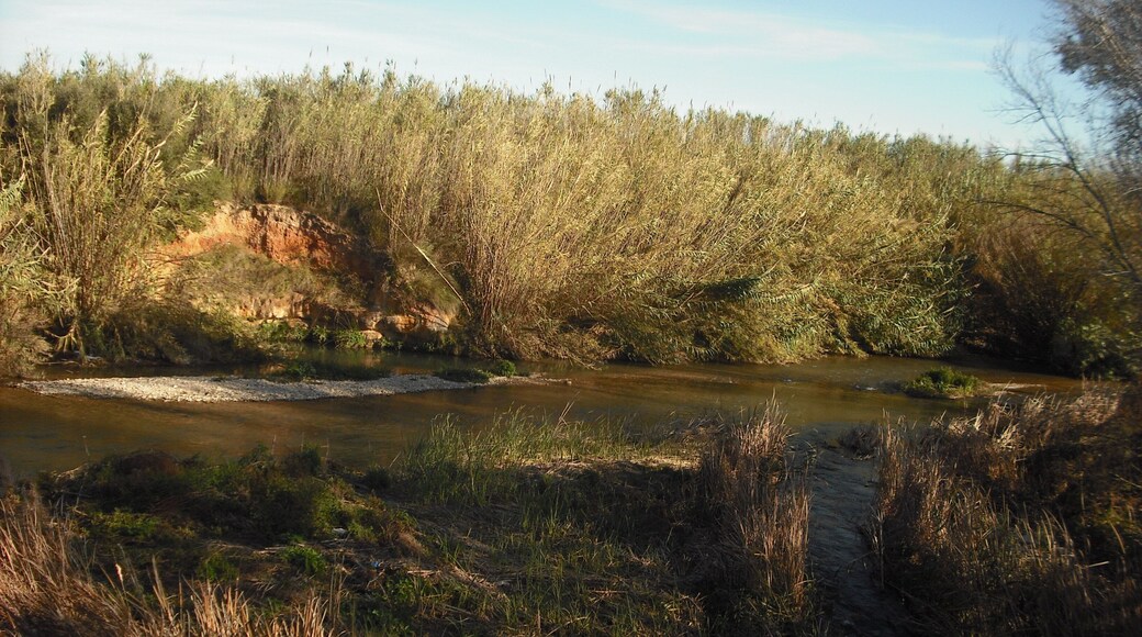 Riba-roja de Túria.
