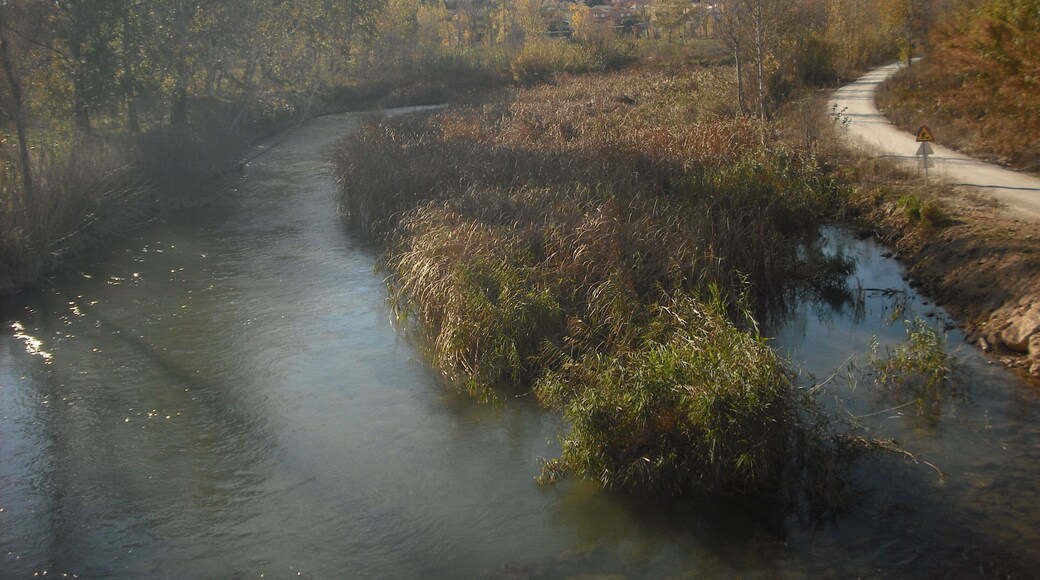 Riba-roja de Túria.