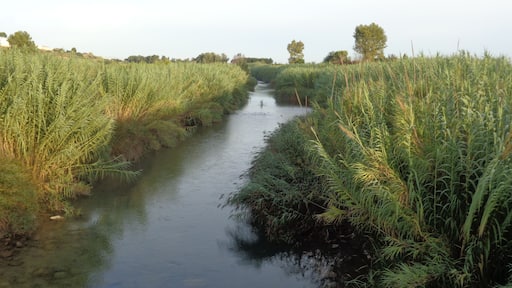 Riba-roja de Túria.