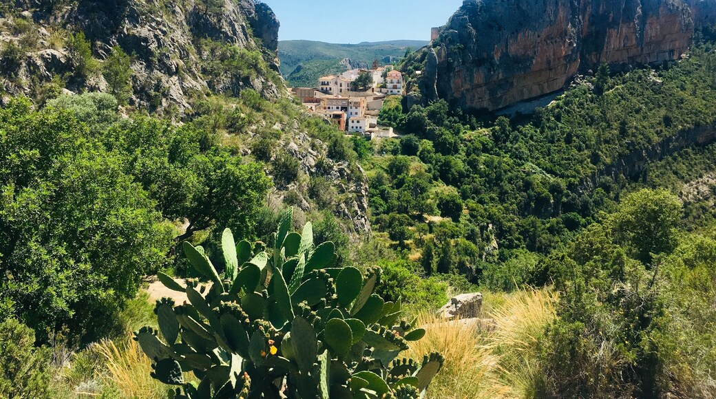 Stunning little mountain town, offers so much to discover..