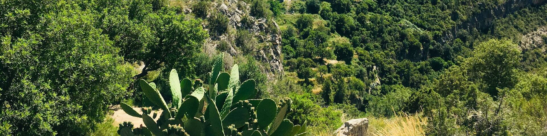 Stunning little mountain town, offers so much to discover..