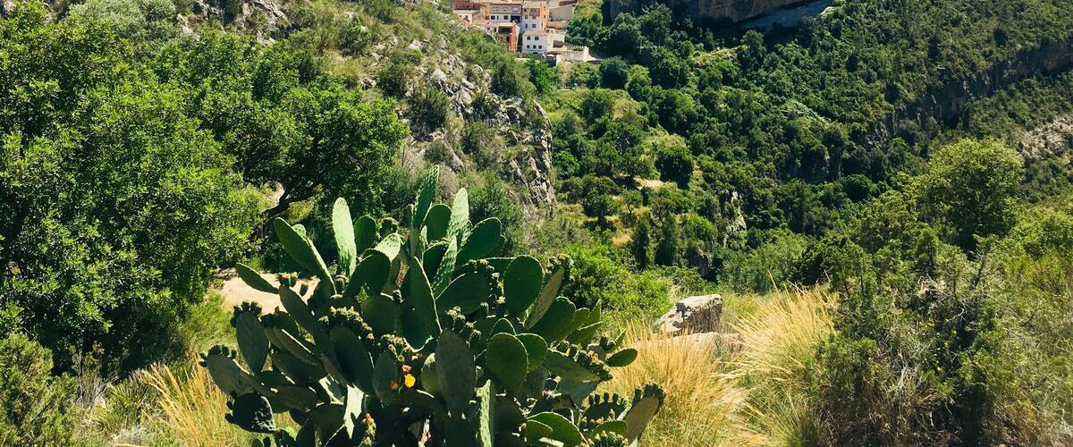 A mountainous landscape with a village nestled between rocky cliffs.