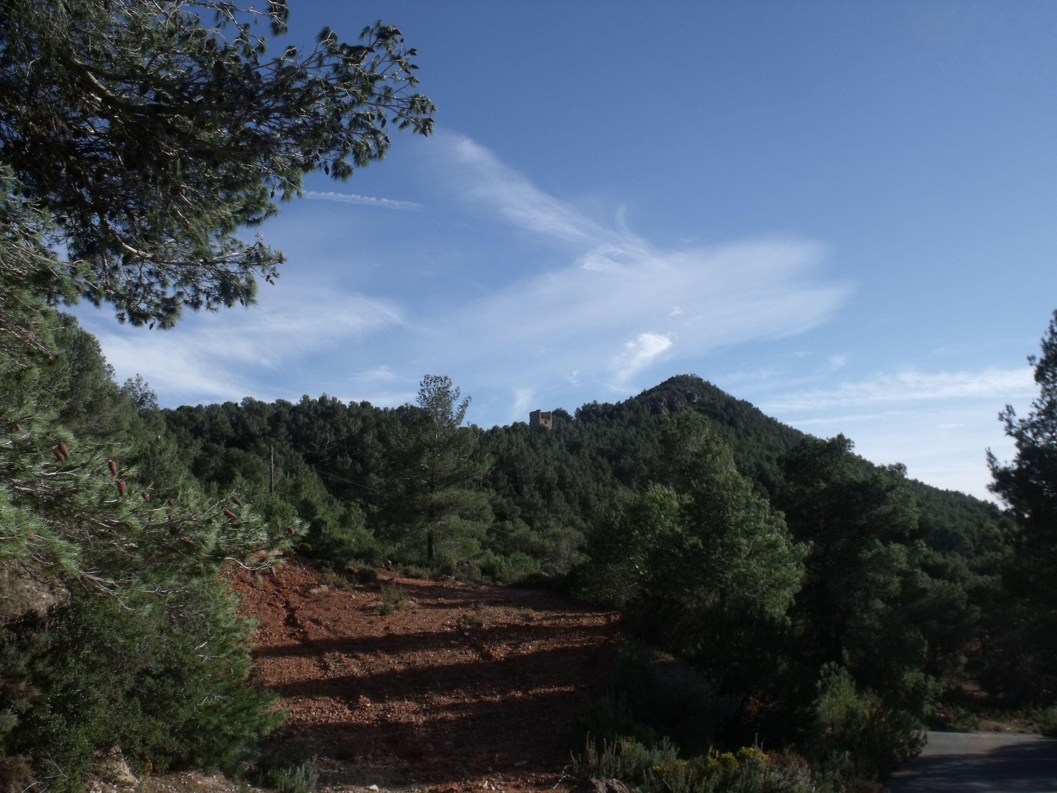 Vista antes de subir