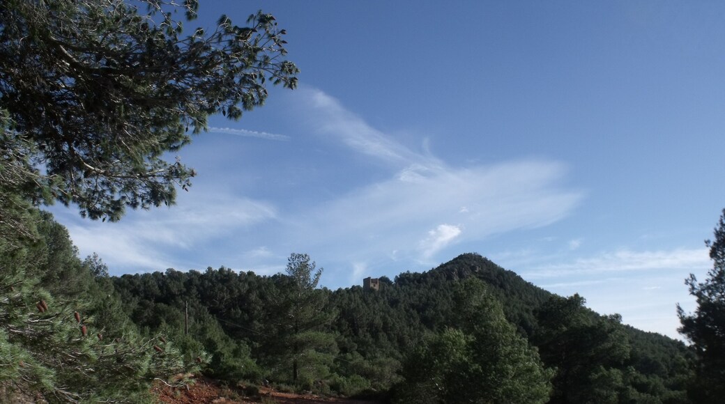 Vista antes de subir