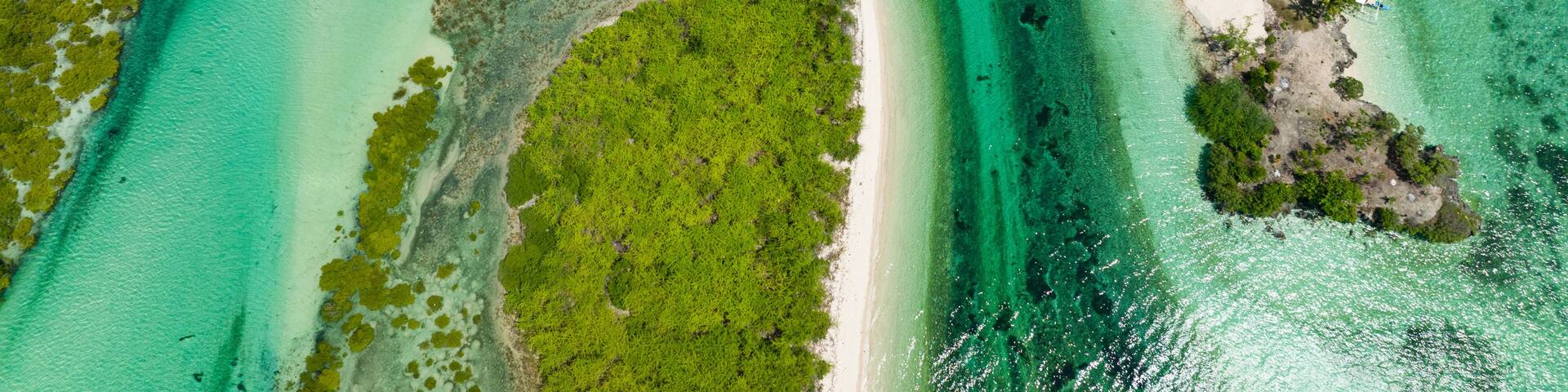 A tropical beach with clear turquoise waters, a white sandy shore, and lush green vegetation.