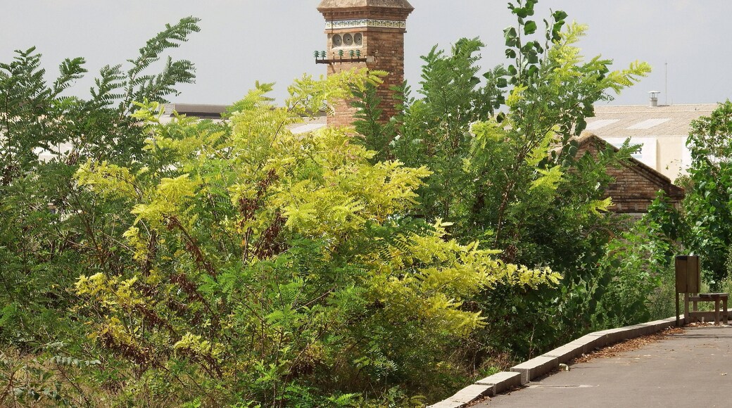 Motor del Marqués (Beniparrell)