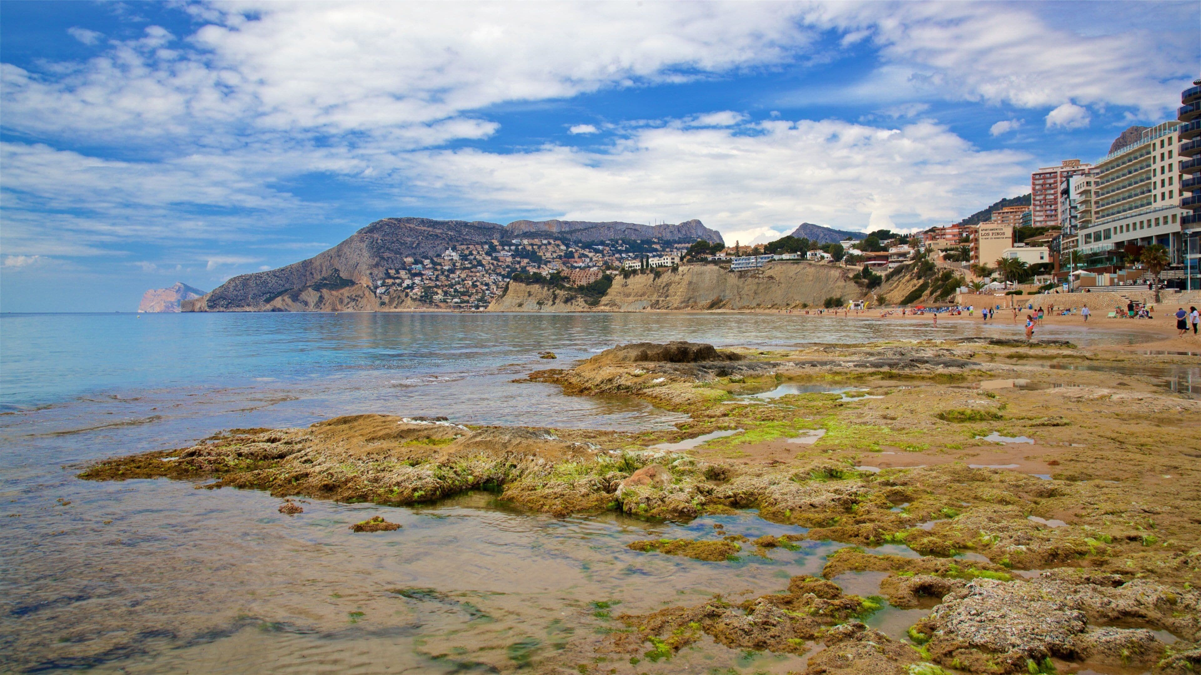 Arenal-Bol Beach featuring general coastal views and rugged coastline