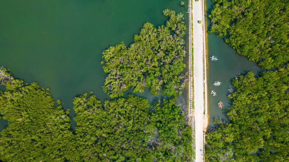 An aerial view of a coastal area with dense green vegetation, a sandy beach, and a narrow road running parallel to the water.