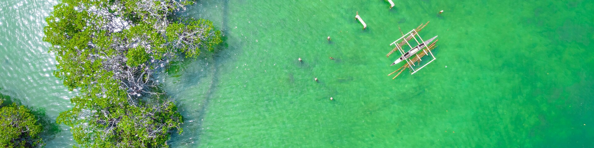Vista aérea de una isla verde con aguas cristalinas y varias embarcaciones pequeñas.
