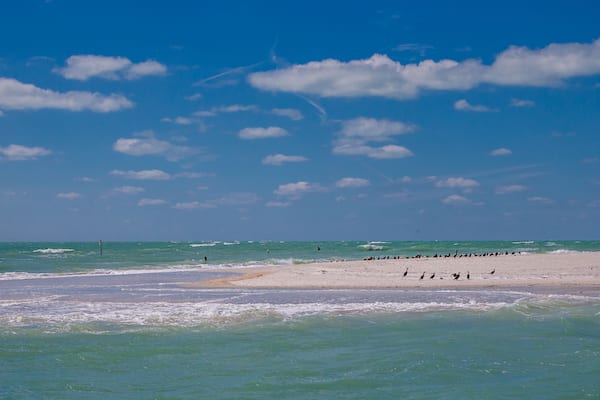 Sand beach with birds on the southern tip of Egmont Key State Park in the Gulf of Mexico on the west coast of Florida