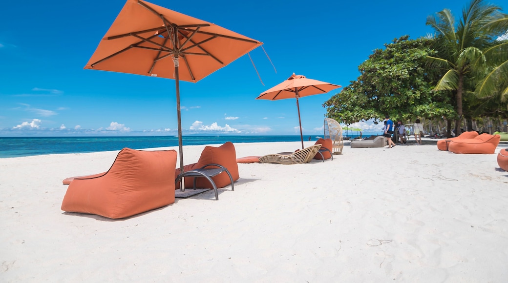 A beach with orange lounge chairs and umbrellas, palm trees, and the ocean in the background.