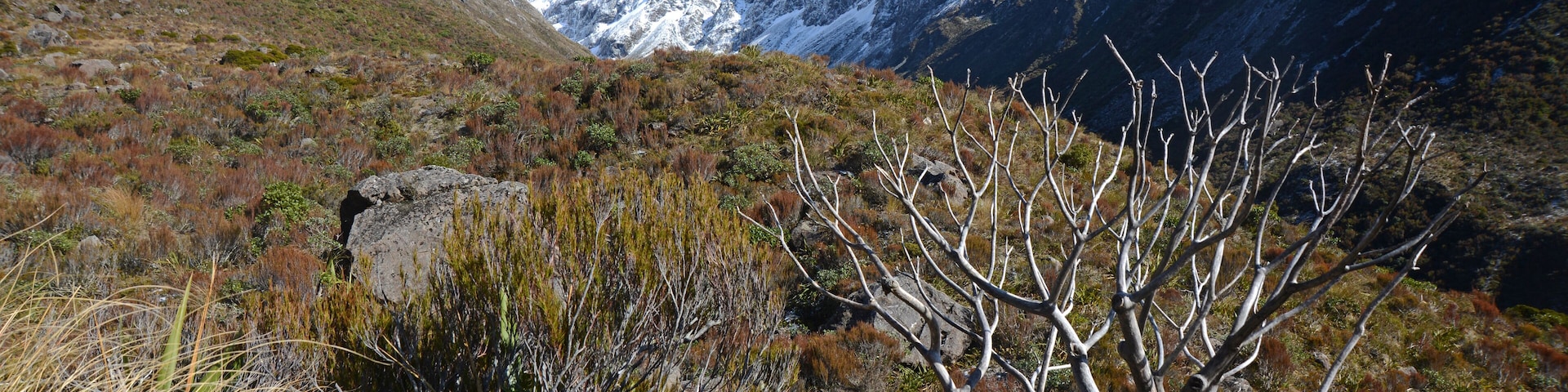 Alpine landscape at Arthur's Pass