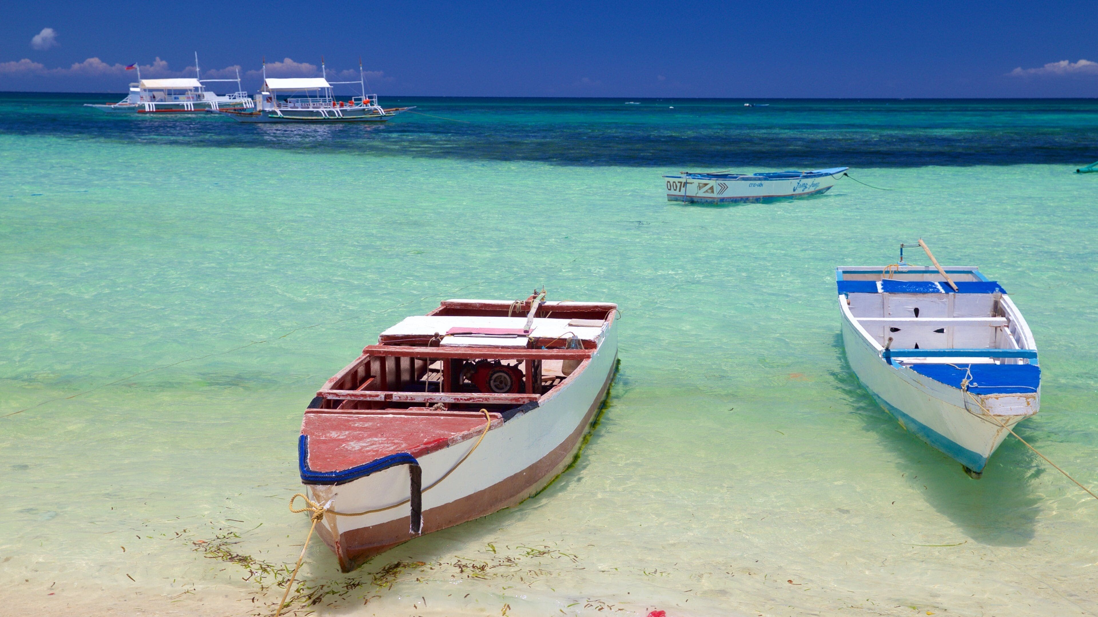 Logon showing general coastal views