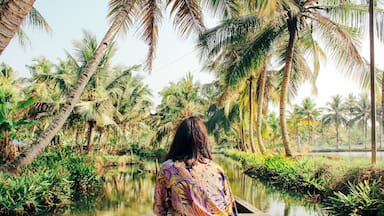 Un río con palmeras y un bote.