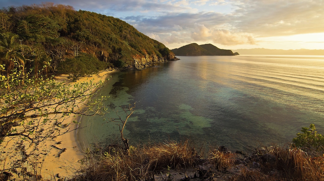 One of over 7000 islands in the Philippines, Malcapuya is a small island in Coron, Palawan with a stretch of white sandy beach and crystal blue waters. On the southeastern side is an elevated viewpoint where you can watch the sunrise as its soft hues light up the eastern side of the island.