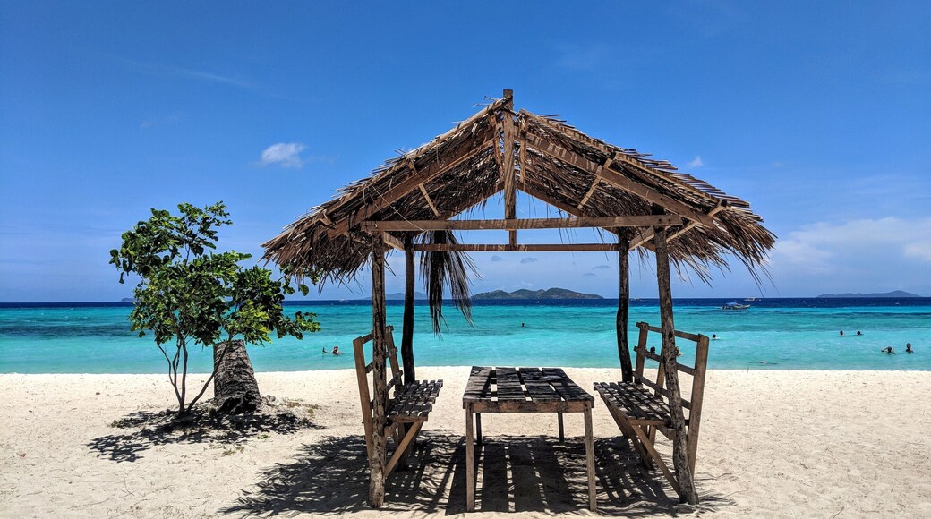 Malcapuya island in Coron, Philippines. Island hopping tours are convenient, they can easily get packed and rushed. If you are looking to relax and soak in some of these beautiful beaches, then rent a private boat for specific islands for a couple of hours. #BeachTips #palawan #coron #philippines #beach #island #malcapuya