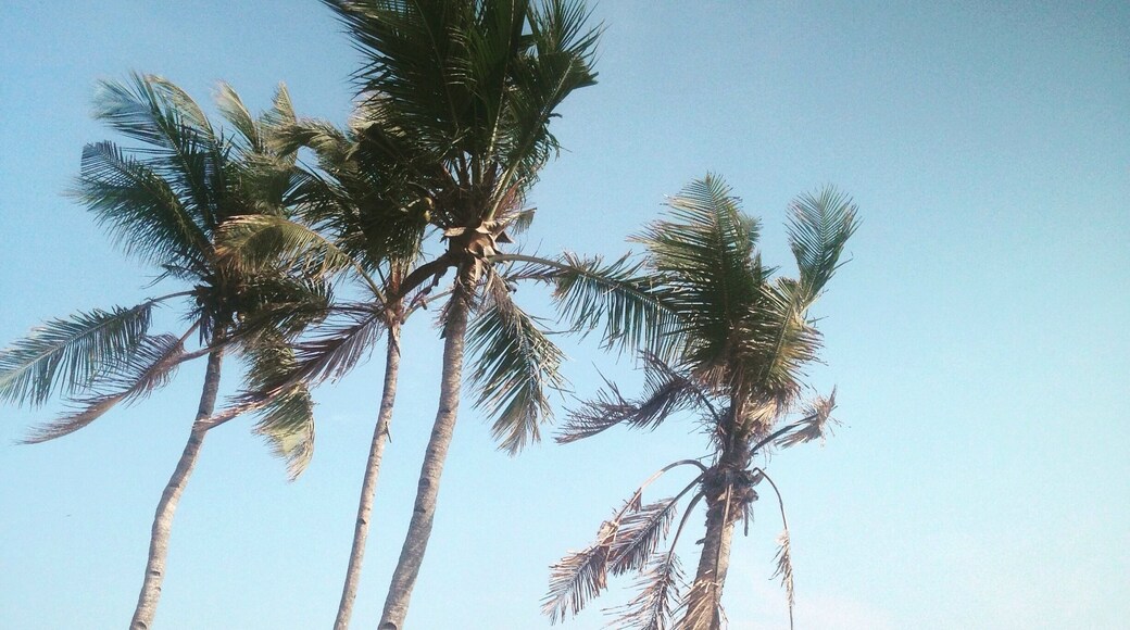 Picture-perfect scenery at Kollam