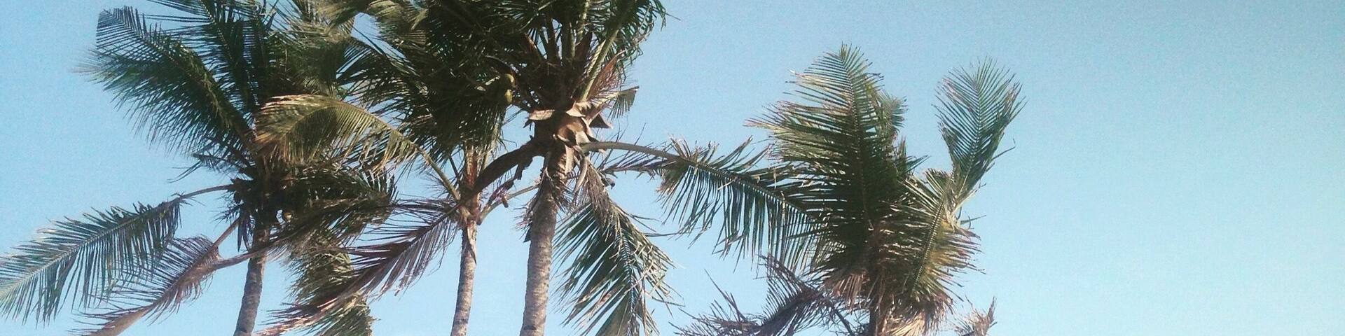 Picture-perfect scenery at Kollam