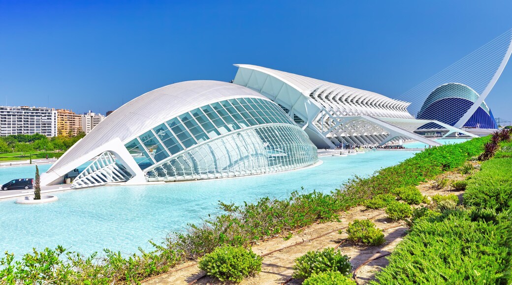 HDHYDT VALENCIA, SPAIN - SEPT 10: Science Museum (El Museu de les Ciencies Principe Felipe) - City of Arts and Sciences. September 10, 2014 in Valencia, Spai