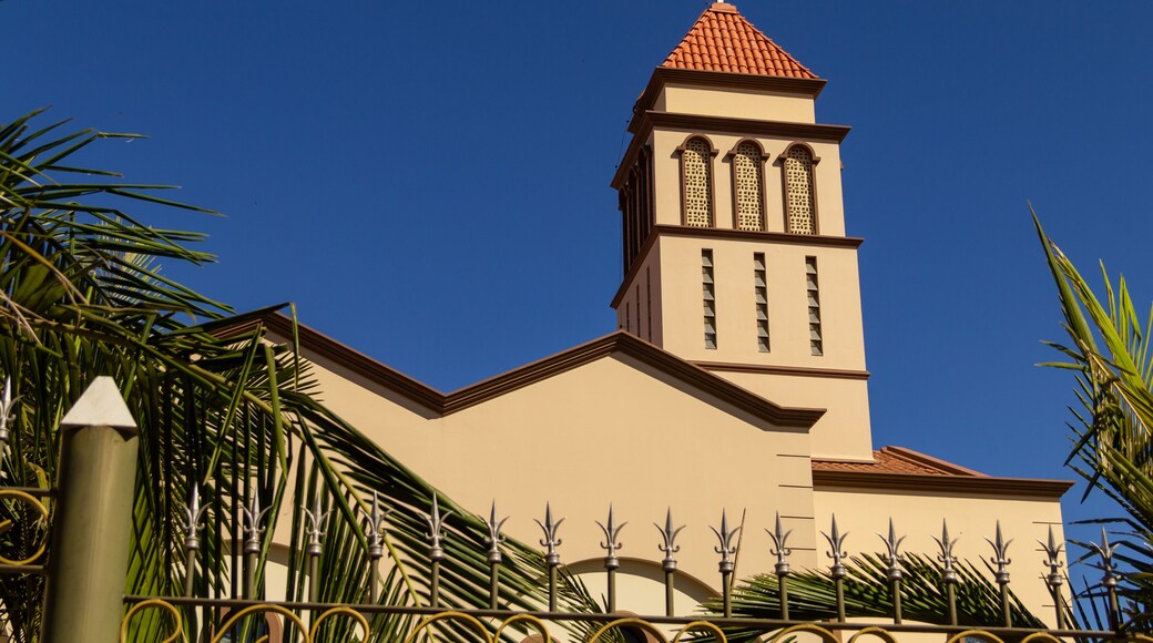 ์๋ํด๋ฆฌ์ค