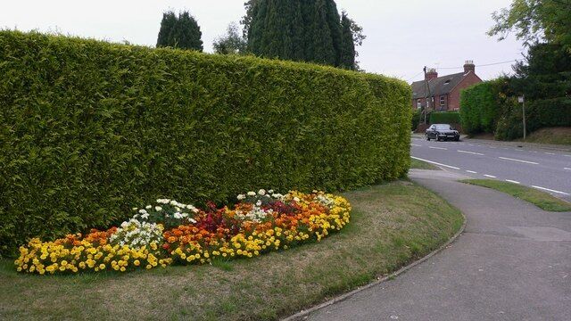 Well kept flowerbed at Lindford This is on the corner of Imadene Crescent and Liphook Road.