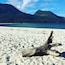 Camiguin is dubbed phils's Hawaii an island born out of volcanic ash 30 minute ride lies a particularly fine white sand Bar.. could be a perfect image of a tropical island paradise. where cold hot springs co exists. the volcanoes in the mainland makes a beautiful background and landscape.