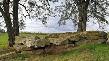 Südseite des Großsteingrabs Heringsberg bei Grimschleben.