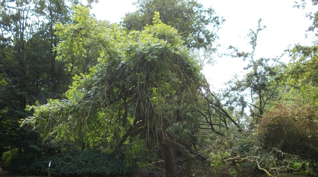 In the gardens of Neugattersleben Castle (Nienburg/Saale, district: Salzlandkreis, Saxony-Anhalt)