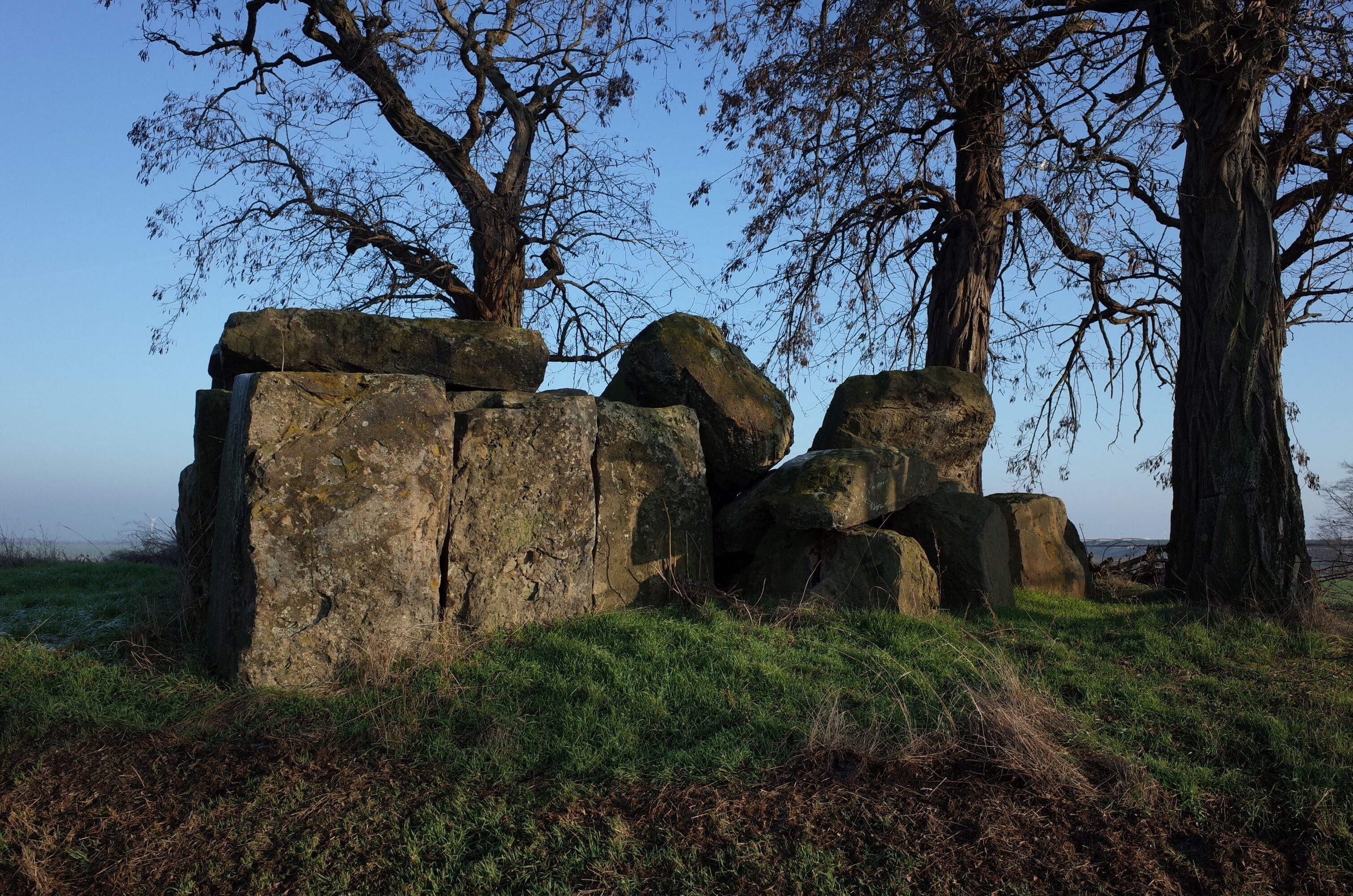 Nienburg (Saale), Ortsteil Latdorf, Großsteingrab Bierberg.
