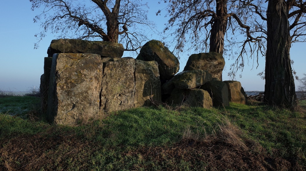 Nienburg (Saale), Ortsteil Latdorf, Großsteingrab Bierberg.