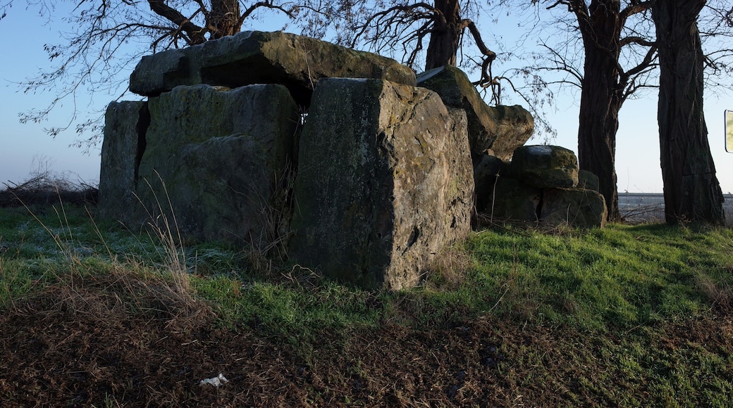 Nienburg (Saale), Ortsteil Latdorf, Großsteingrab Bierberg.