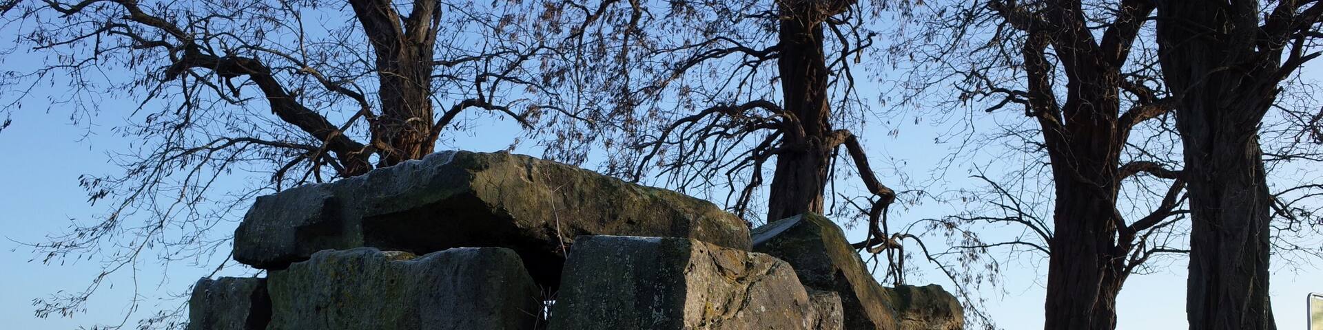 Nienburg (Saale), Ortsteil Latdorf, Großsteingrab Bierberg.