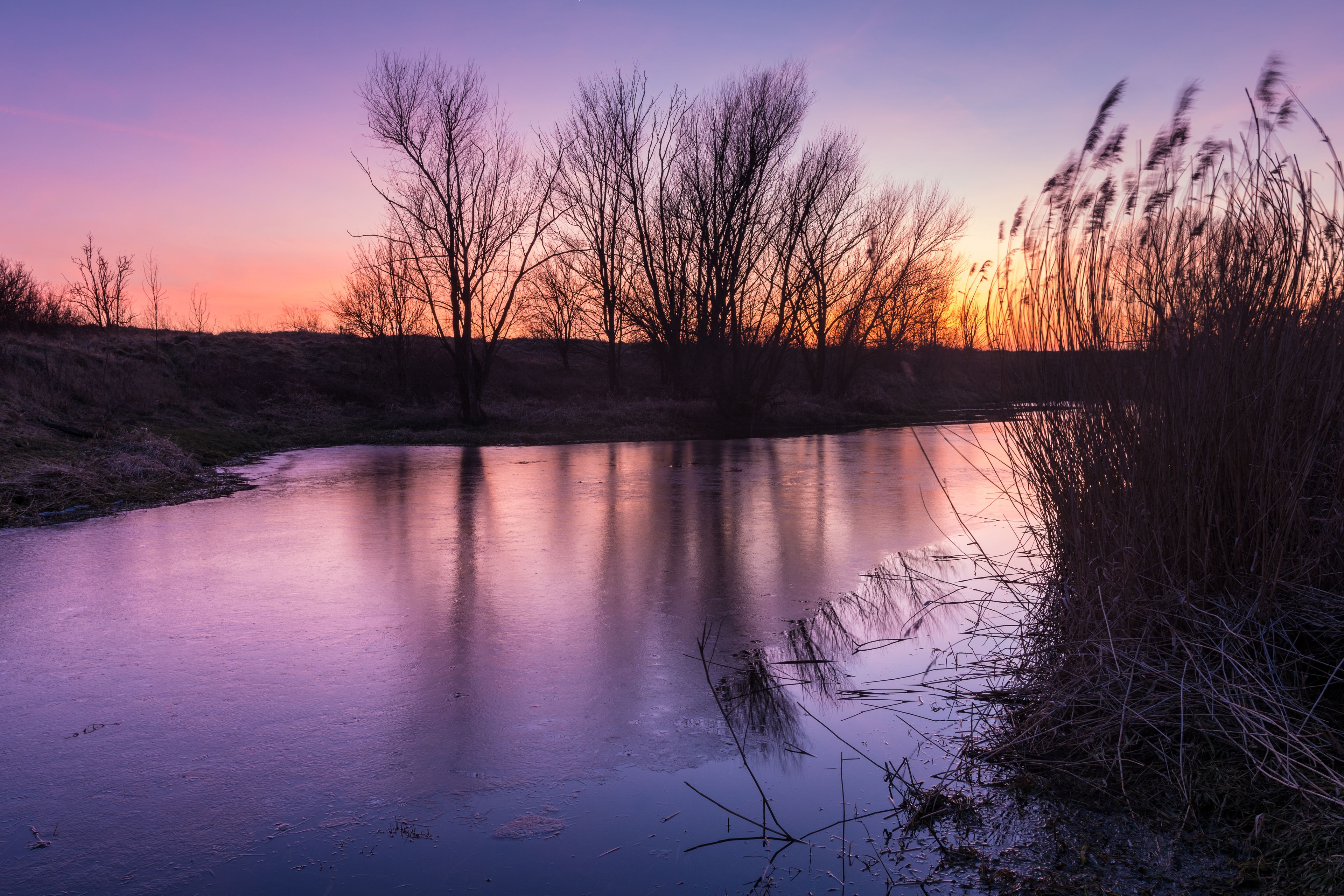 A frozen river with bare trees and tall grasses reflecting the sunset.